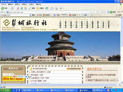 徐州金网 本地网络服务的全方位专家